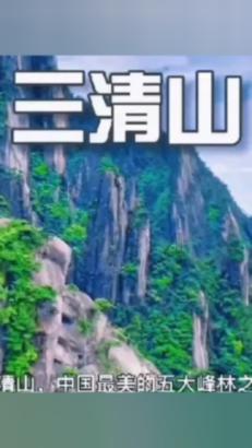 杨浦人才看滨江，助力“人才秀带”扬帆远航