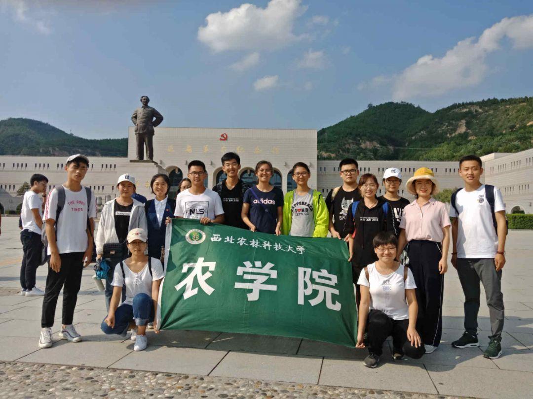 黑暗之魂